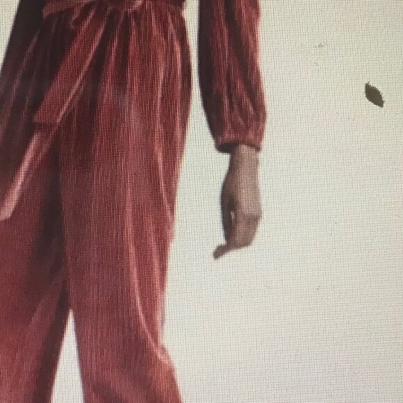 Ali & Jay Velvet Belted Jumpsuit Size Small Pants Pleated Wide Leg - Picture 2 of 4
